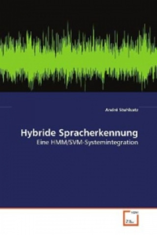 Книга Hybride Spracherkennung André Stuhlsatz