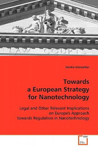 Kniha Towards European Strategy for Nanotechnology Sandra Grossalber