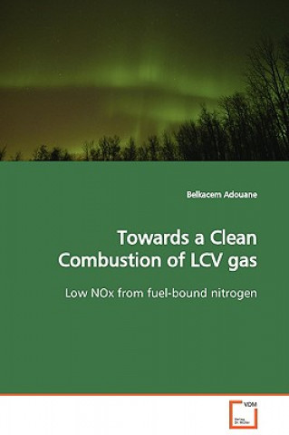 Книга Towards a Clean Combustion of LCV gas Belkacem Adouane