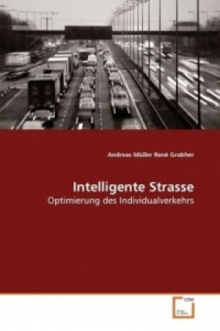 Kniha Intelligente Strasse Andreas Müller