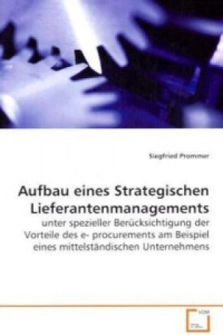 Kniha Aufbau eines Strategischen Lieferantenmanagements Siegfried Prommer