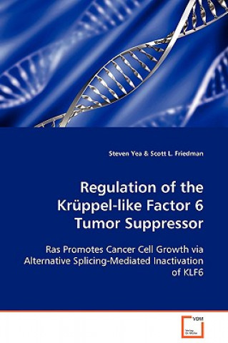 Knjiga Regulation of the Kruppel-like Factor 6 Tumor Suppressor Steven Yea