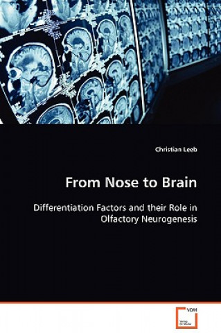 Carte From Nose to Brain Christian Leeb