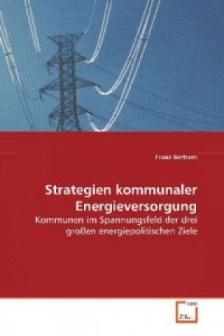 Könyv Strategien kommunaler Energieversorgung Franz Bertram