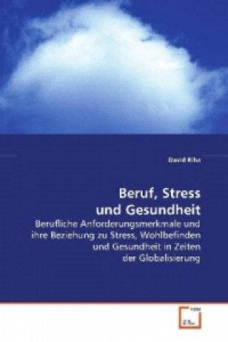 Kniha Beruf, Stress und Gesundheit David Riha