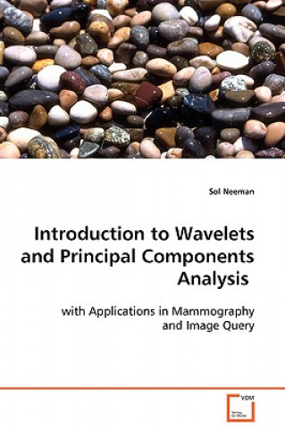 Kniha Introduction to Wavelets and Principal Components Analysis Sol Neeman