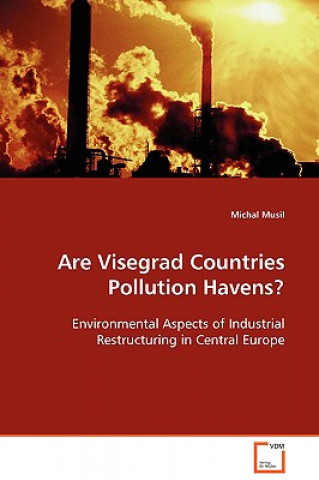 Könyv Are Visegrad Countries Pollution Havens? Michal Musil