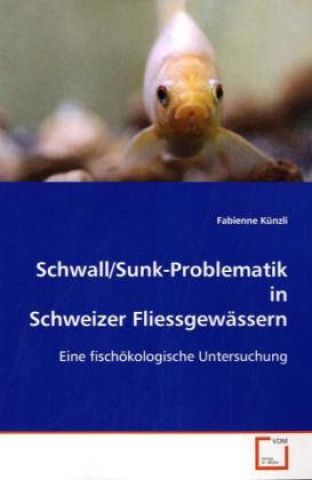 Książka Schwall/Sunk-Problematik in Schweizer Fliessgewässern Fabienne Künzli