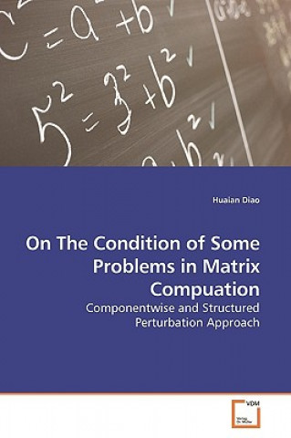 Book On The Condition of Some Problems in Matrix Compuation Huaian Diao