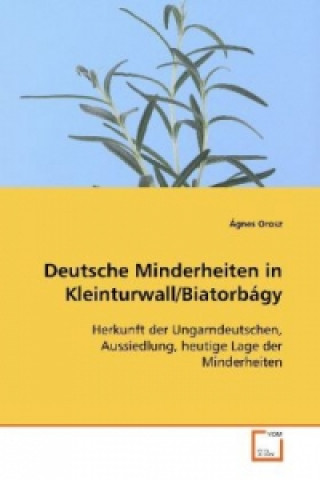 Buch Deutsche Minderheiten in Kleinturwall/Biatorbágy Orosz Ágnes