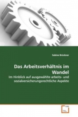 Kniha Das Arbeitsverhältnis im Wandel Sabine Brückner