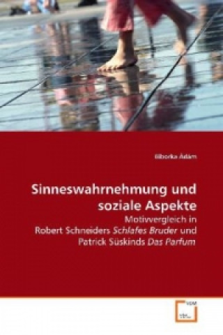 Book Sinneswahrnehmung und soziale Aspekte Biborka Ádám