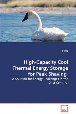 Книга High-Capacity Cool Thermal Energy Storage for Peak Shaving - A Solution for Energy Challenges in the 21st Century Bo He