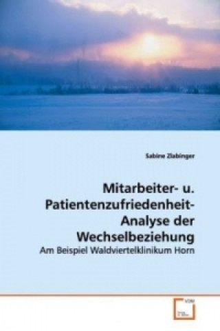 Könyv Mitarbeiter- u. Patientenzufriedenheit-Analyse der  Wechselbeziehung Sabine Zlabinger