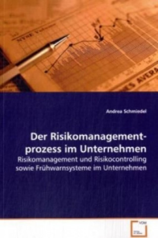 Book Der Risikomanagementprozess im Unternehmen Andrea Schmiedel