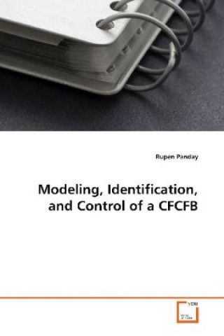 Kniha Modeling, Identification, and Control of a CFCFB Rupen Panday