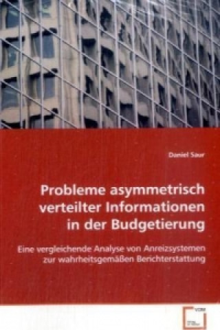 Książka Probleme asymmetrisch verteilter Informationen  in der Budgetierung Daniel Saur
