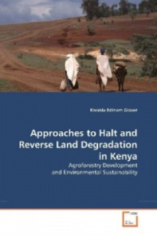 Könyv Approaches to Halt and Reverse Land Degradation in Kenya Edinam K. Glover