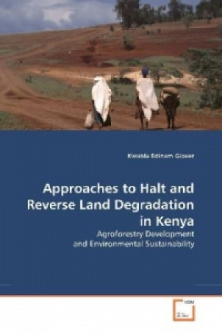 Kniha Approaches to Halt and Reverse Land Degradation in Kenya Edinam K. Glover