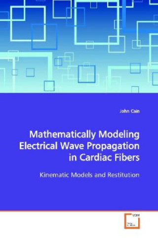 Könyv Mathematically Modeling Electrical Wave Propagation in Cardiac Fibers John Cain