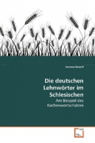 Kniha Die deutschen Lehnwörter im Schlesischen Joanna Besold