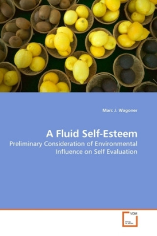 Knjiga A Fluid Self-Esteem Marc J. Wagoner