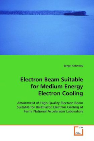 Książka Electron Beam Suitable for Medium Energy Electron Cooling Sergei Seletskiy