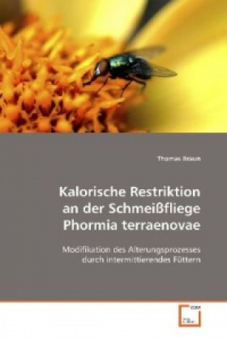 Kniha Kalorische Restriktion an der Schmeißfliege Phormia terraenovae Thomas Braun