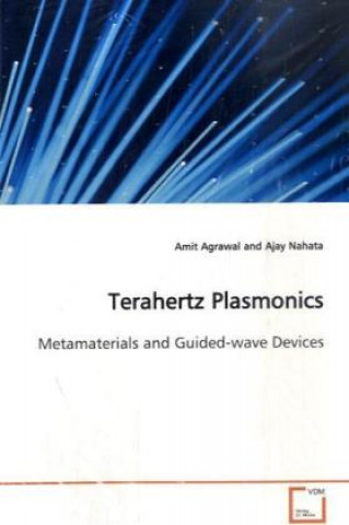 Knjiga Terahertz Plasmonics Amit Agrawal