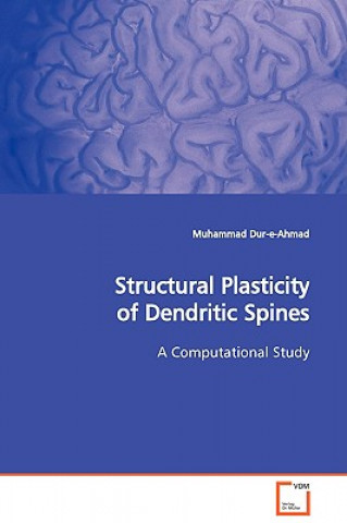 Carte Structural Plasticity of Dendritic Spines Muhammad Dur-e-Ahmad