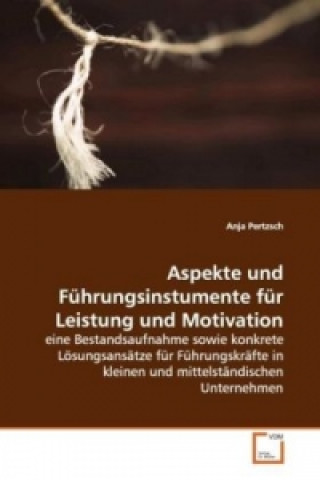 Kniha Aspekte und Führungsinstumente für Leistung und Motivation Anja Pertzsch