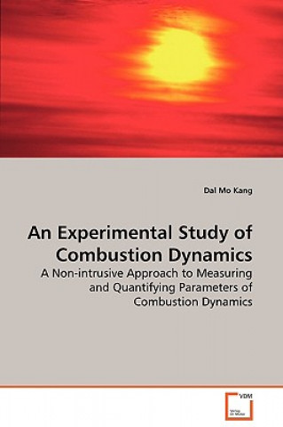 Книга Experimental Study of Combustion Dynamics Dal Mo Kang