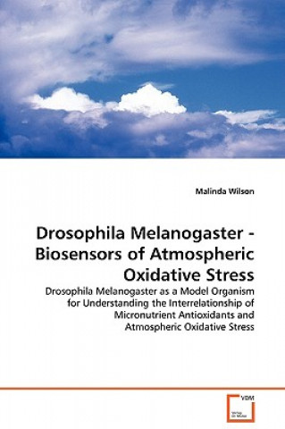 Könyv Drosophila Melanogaster - Biosensors of Atmospheric Oxidative Stress Malinda Wilson
