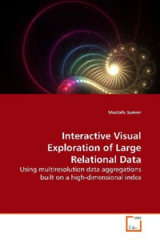 Kniha Interactive Visual Exploration of Large Relational  Data Mustafa Sanver