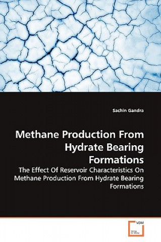 Knjiga Methane Production From Hydrate Bearing Formations Sachin Gandra