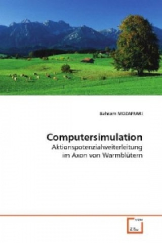 Könyv Computersimulation Bahram Mozaffari