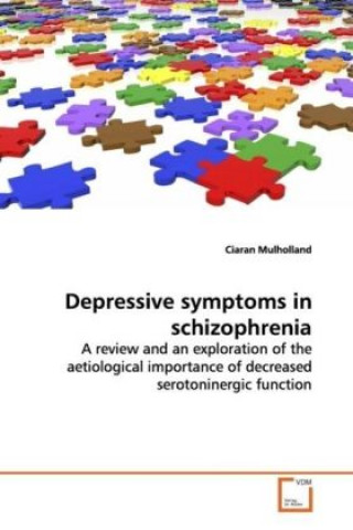 Książka Depressive symptoms in schizophrenia Ciaran Mulholland