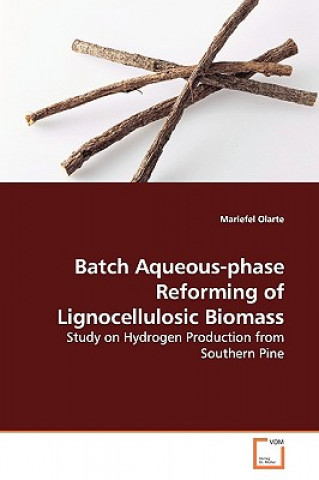 Knjiga Batch Aqueous-phase Reforming of Lignocellulosic Biomass Mariefel Olarte