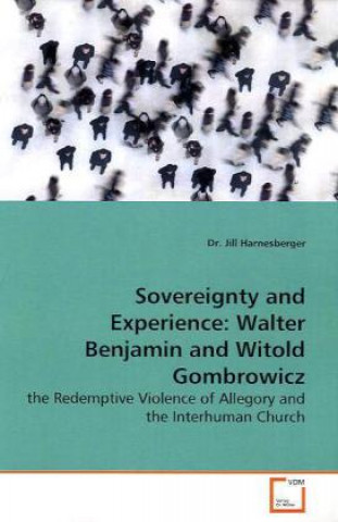 Książka Sovereignty and Experience: Walter Benjamin and  Witold Gombrowicz Jill Harnesberger
