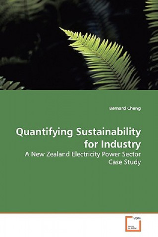 Livre Quantifying Sustainability for Industry Bernard Cheng