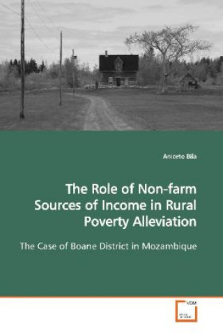 Kniha The Role of Non-farm Sources of Income in Rural  Poverty Alleviation Aniceto Bila