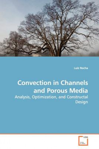 Könyv Convection in Channels and Porous Media Luiz Rocha
