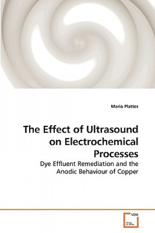 Knjiga Effect of Ultrasound on Electrochemical Processes Mario Plattes