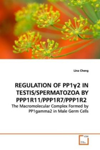 Kniha REGULATION OF PP1 2 IN TESTIS/SPERMATOZOA BY  PPP1R11/PPP1R7/PPP1R2 Lina Cheng