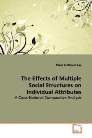 Könyv The Effects of Multiple Social Structures on Individual Attributes Helen Brethauer-Gay