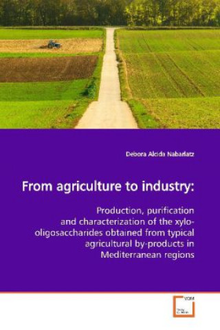 Könyv From agriculture to industry: Debora Alcida Nabarlatz
