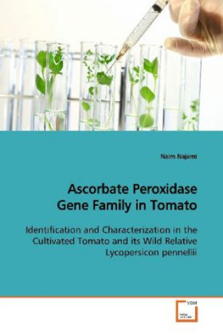 Książka Ascorbate Peroxidase Gene Family in Tomato Naim Najami