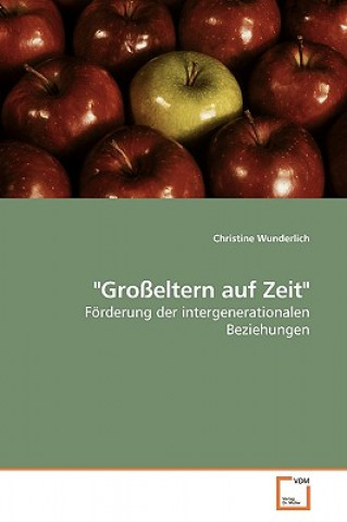 Kniha Grosseltern auf Zeit Christine Wunderlich