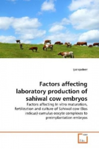 Книга Factors affecting laboratory production of sahiwal  cow embryos Ijaz Qadeer