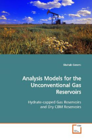 Könyv Analysis Models for the Unconventional Gas Reservoirs Shahab Gerami